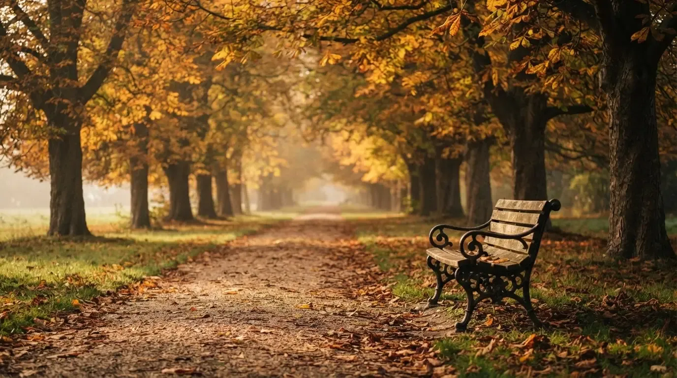 Eine Parkallee mit Kastanienbäumen und einer leeren Bank, Herbstlaub bedeckt den Kiesweg.
