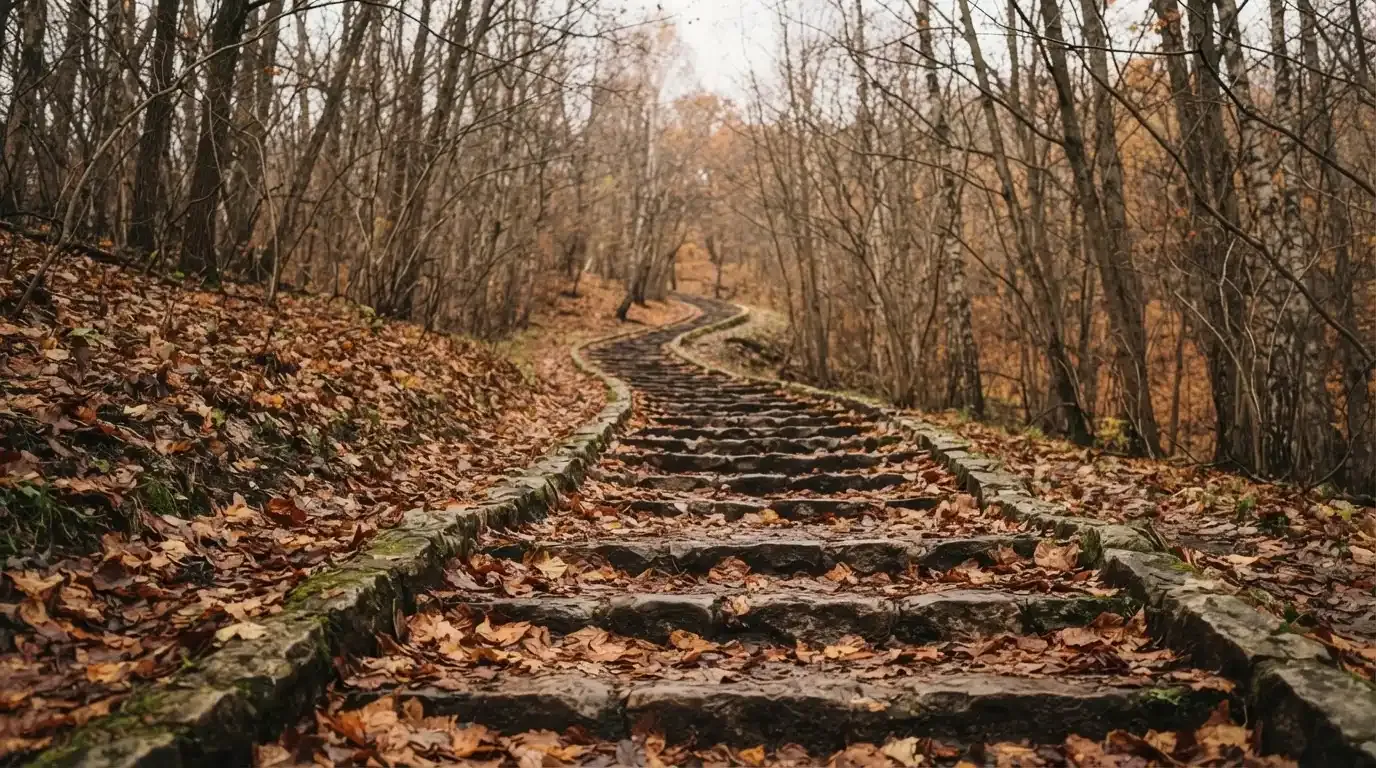 Eine Steintreppe führt einen Hügel hinauf, die Stufen sind mit Herbstlaub bedeckt und seitlich stehen kahle Bäume.