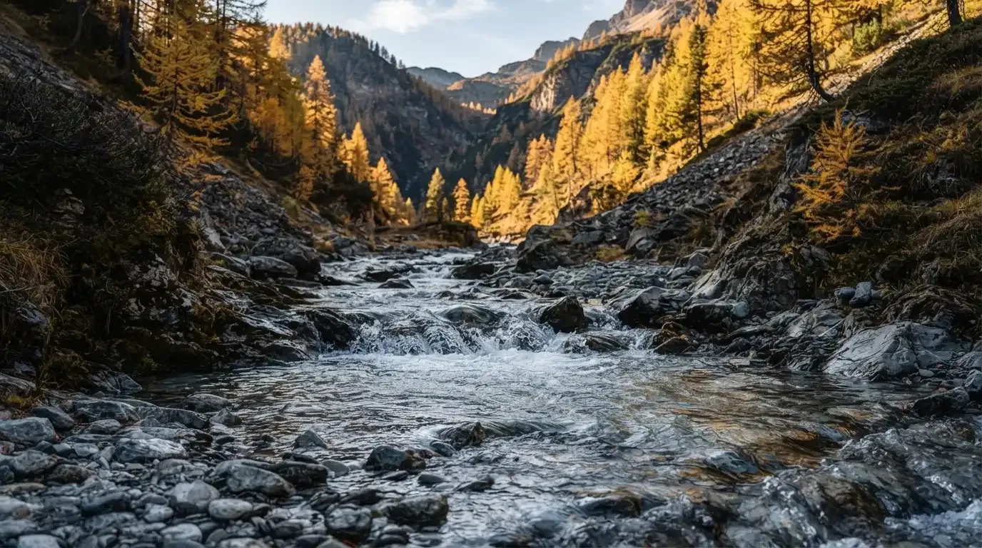 Ein Bergbach fliesst über glatte Steine durch ein enges Tal, an den Hängen leuchten Lärchen in gelbem Herbstlicht.