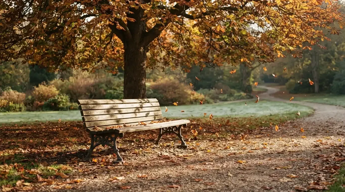 Eine Parkbank unter einer Kastanie im Herbst, auf dem Kiesweg liegen gelbe Blätter.