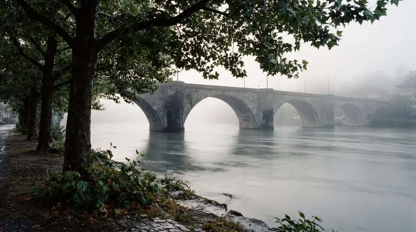 Ein breiter Fluss fliesst unter einer Steinbrücke im Nebel, am Ufer stehen Platanen mit nassen Blättern.