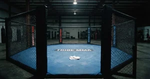 Online MMA Wetten Schweiz 2026: Anbieter, Regeln, Risiken