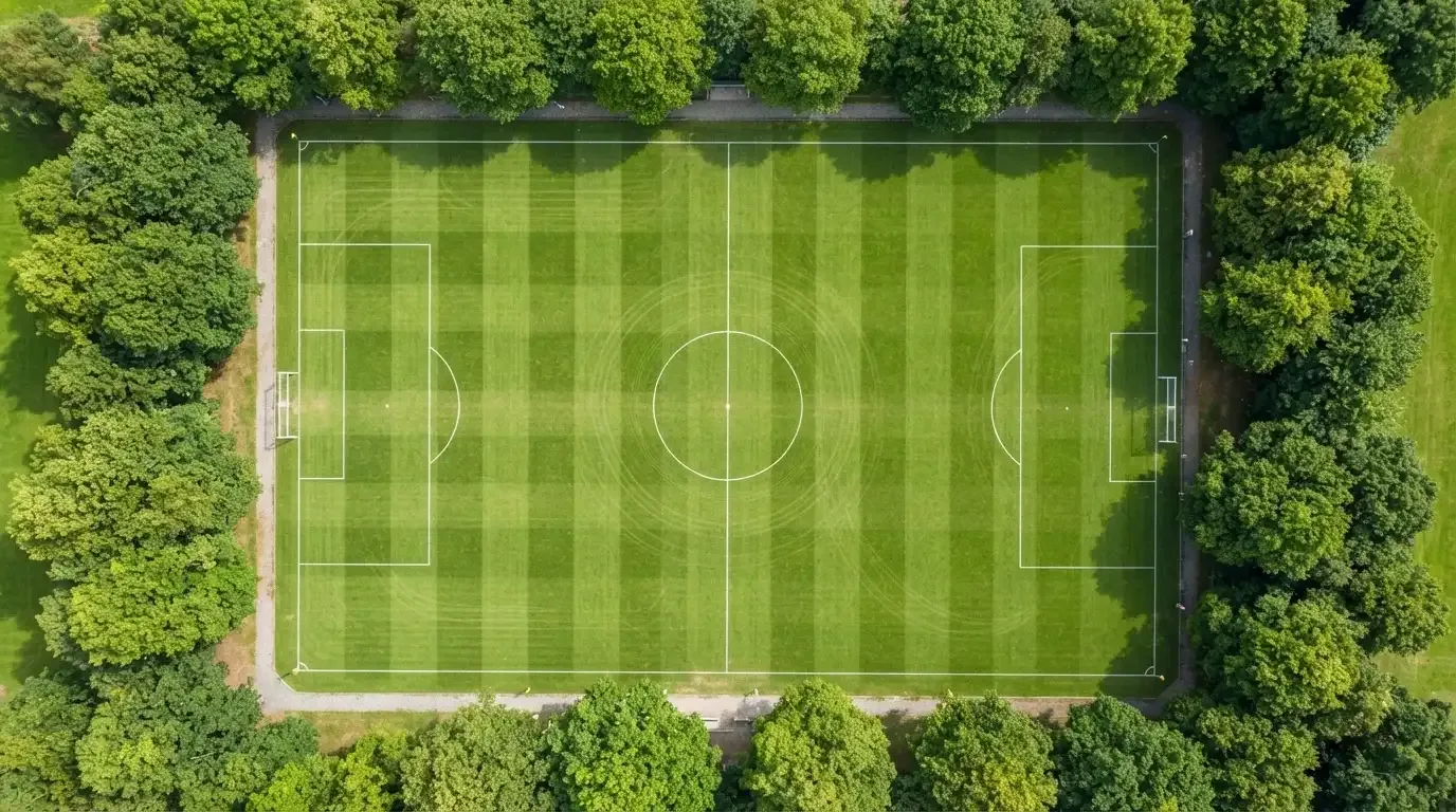 Ein Fussballplatz aus der Vogelperspektive mit gemähtem Streifenmuster im Rasen und weissen Linien, umgeben von Bäumen.