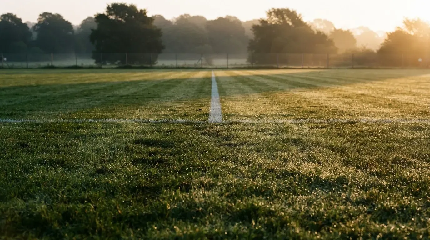 Ein Rasenspielfeld bei Sonnenaufgang, die Mittellinie verläuft quer durchs Bild und Tau glitzert auf dem Gras.